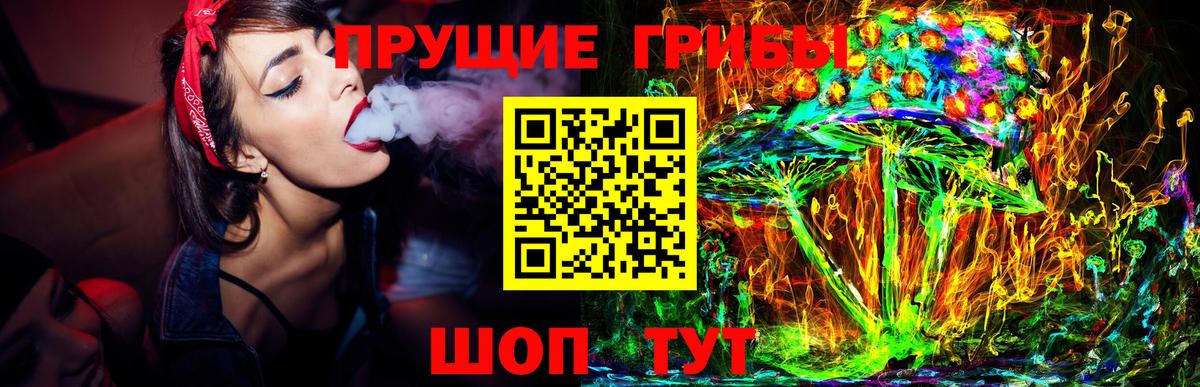 Галлюциногенные грибы Psilocybe  Вход с VPN  Галлюциногенные грибы GOLDEN TEACHER  Гурьевск 